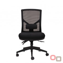 Breeze Mesh Back Task Chair