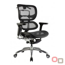 Ergo Mesh Back Executive Chair 