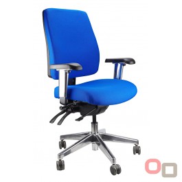 Ergo Form Ergonomic Chair - Chrome Base