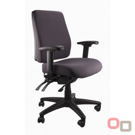 Ergo Form Ergonomic Chair - With Arms