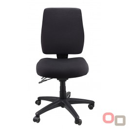Ergo Form Ergonomic Chair 