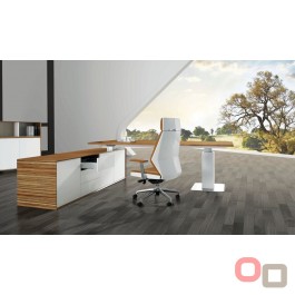 EVOLUTION Executive Height Adjustable Electric Desk