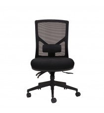 Breeze Mesh Back Task Chair