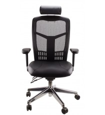 Mesh Deluxe Executive Leather Chair