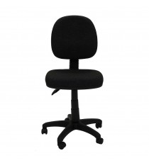 Eco Dell Ergonomic MB Task Chair 