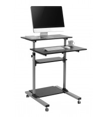 Ergo Mobile Desk for Computer