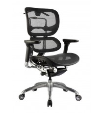 Ergo Mesh Back Executive Chair 