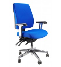 Ergo Form Ergonomic Chair - Chrome Base