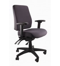 Ergo Form Ergonomic Chair - With Arms