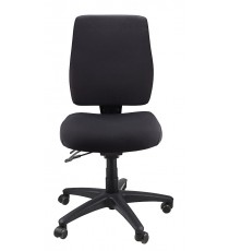 Ergo Form Ergonomic Chair 