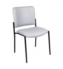Lazer 40 Side Chair - 2 Options