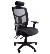 Deluxe Mesh High Back Executive Chair