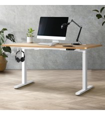 Elevate Electric Sit Stand Desk - 2 Budget Models