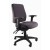 Ergo Form Ergonomic Chair - With Arms