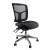 Mesh Mirae Ergonomic Chair - Chrome Base